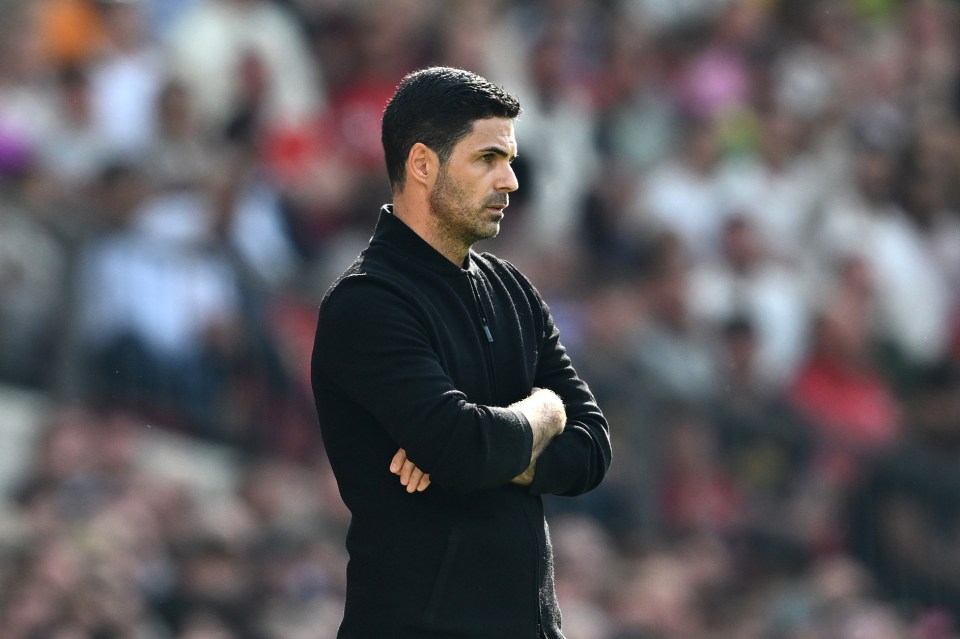 Mikel Arteta is set to axe more dead wood from his squad