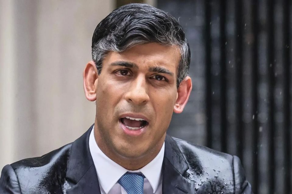 Rishi Sunak has pledged a game-changing new plan to bring back National Service for 18-year-olds