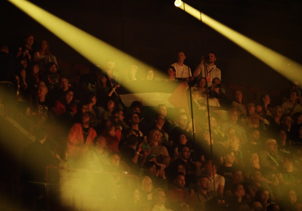 A Palestinian flag was raised during her performance