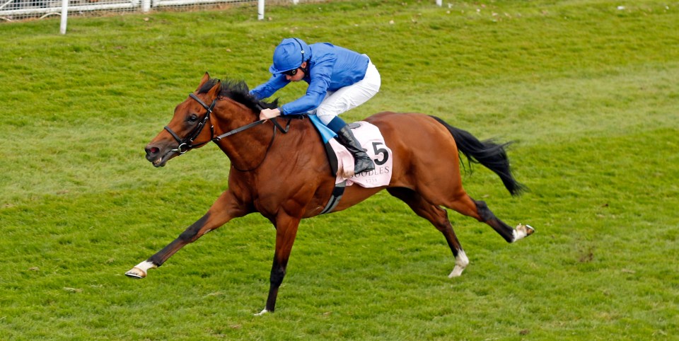 There was absolute heartbreak at Chester races after Hidden Law, the winner of the big race on the day, sadly broke down just yards after the post