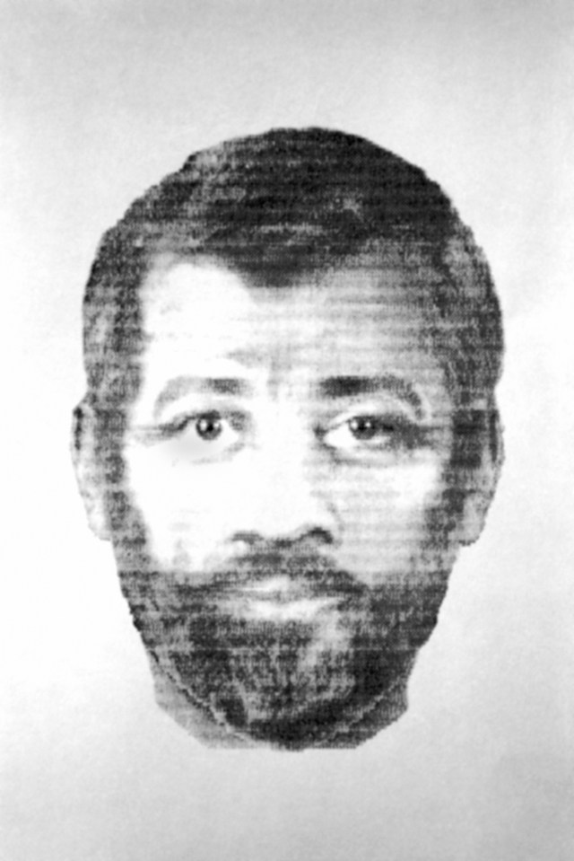 An e-fit of a man which was issued by police at the time of Lindsay’s sudden disappearance