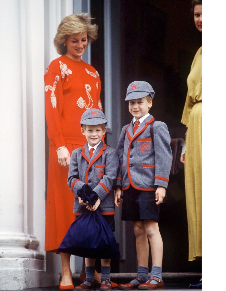 The late Princess Diana reportedly took the young royals with her on her private charity visits from a young age