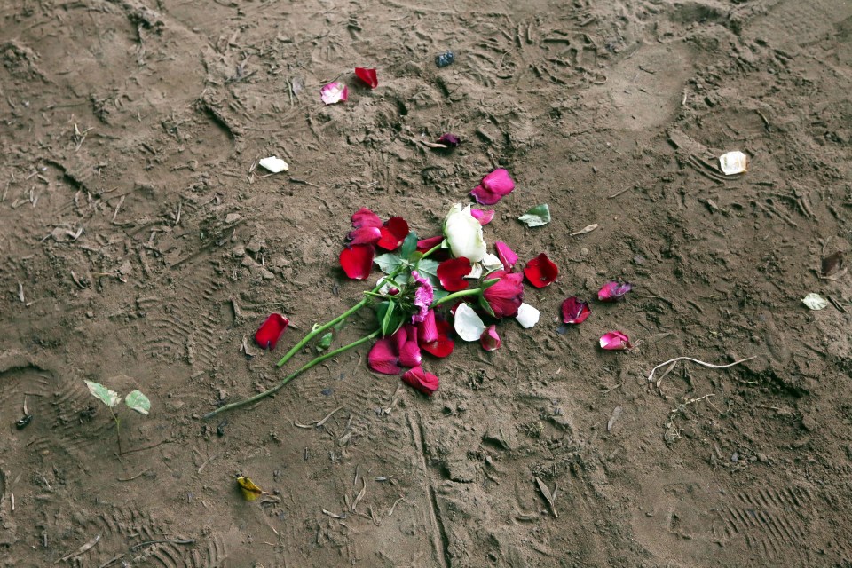 Floral tributes left on the river bank in Ovingham