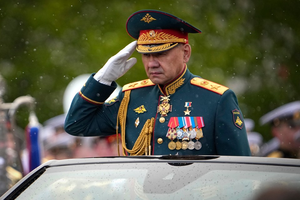 Sergei Shoigu has served as Russia’s defence minister since 2012