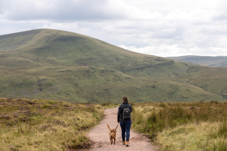 Lizzie enjoys long strolls in the countryside during her weekends