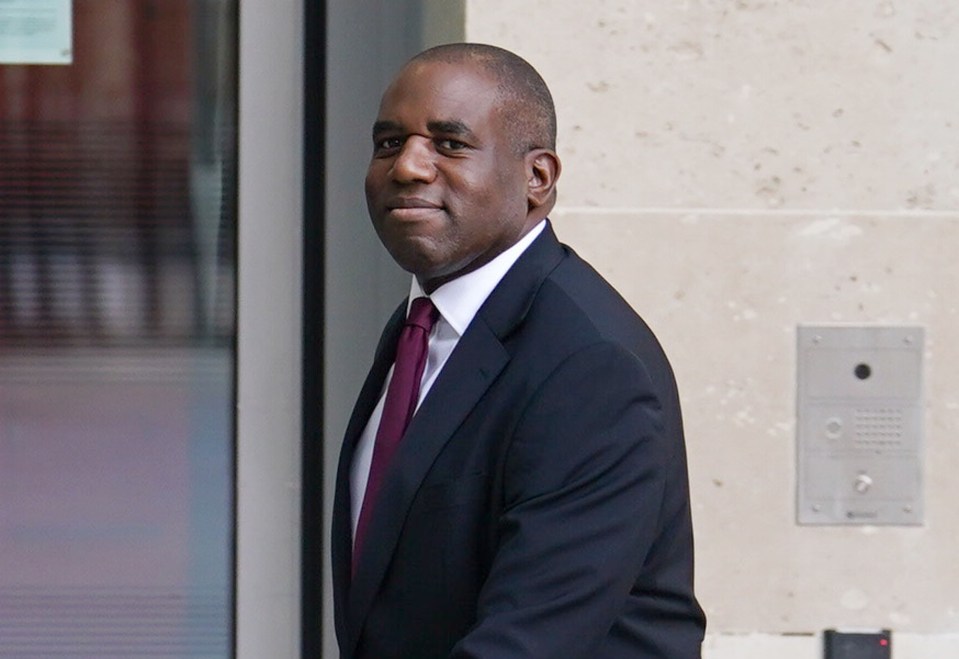 Shadow ­Foreign Secretary David Lammy wants to halt UK arms sales to Tel Aviv - despite his party previously insisting  Israel had a right to defend itself