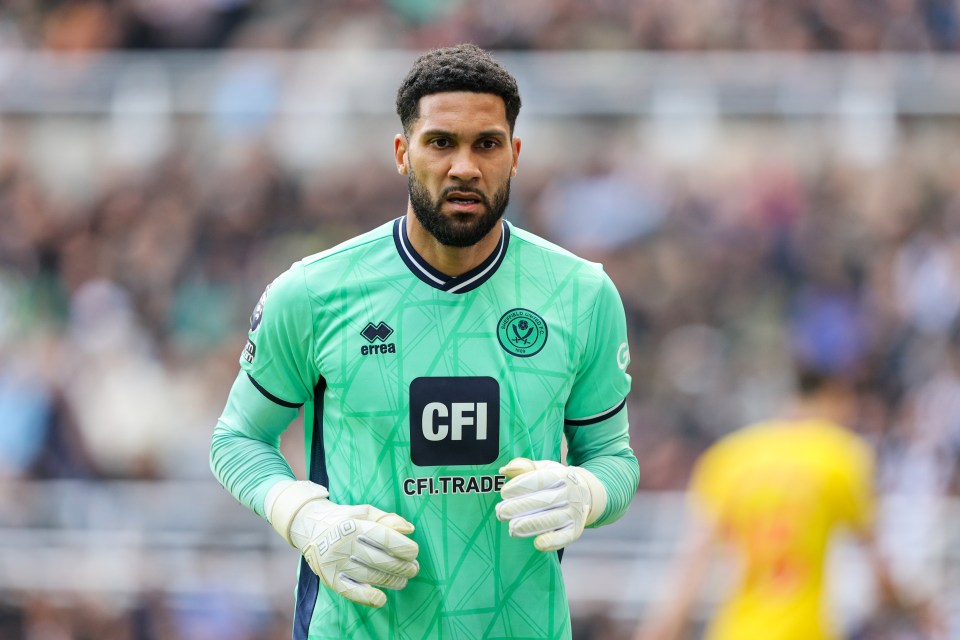 Wes Foderingham has conceded 76 goals in 29 appearances this season