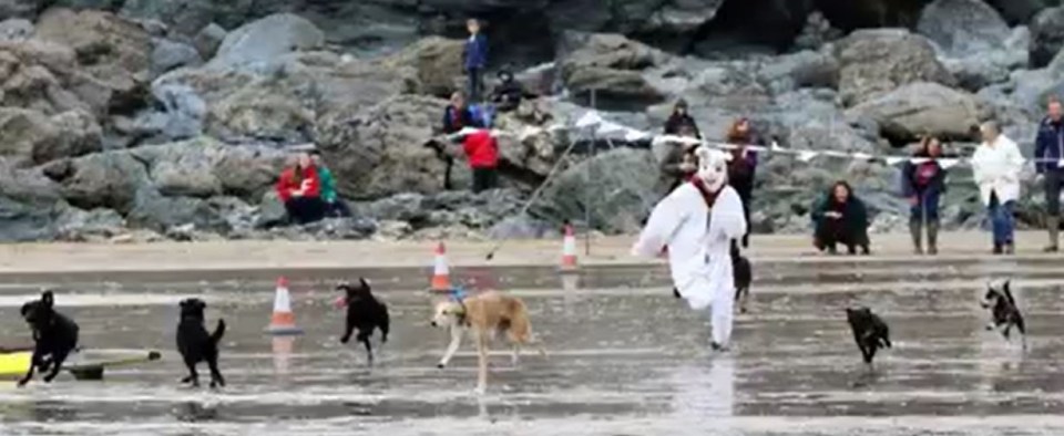 The beach hosts Easter dog races on Easter Sunday every year