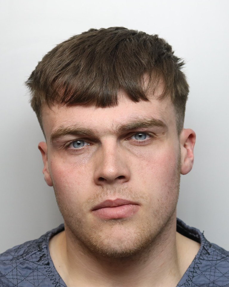 Finn Henry, 21, was jailed for killing his mum while in a ketamine-induced psychosis