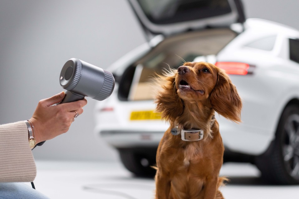 Once you’ve washed any mud off with the shower, there’s a hair-dryer as well