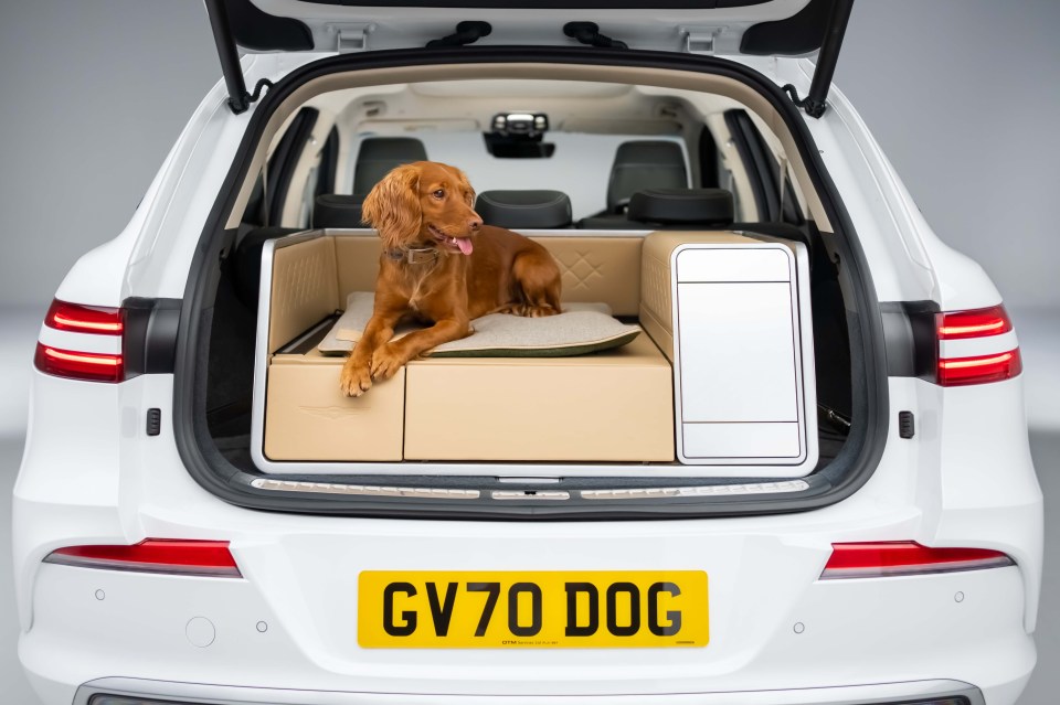 Genesis, the luxury brand of Hyundai, think it has created the ‘ultimate’ concept car for your pampered pooch