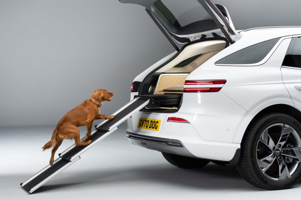 The car comes with a ramp as well so your pet pooch doesn’t have to leap up to get in the boot