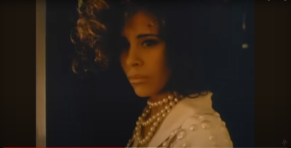 Troy played the love interest in then boyfriend,  late music icon Prince’s 1992 music video for his song: Sexy MF