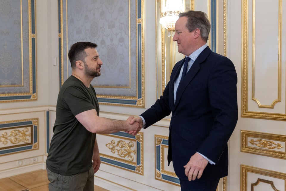 Ukraine’s President Volodymyr Zelensky and Lord Cameron shake hands at a joint meeting in Kyiv on May 2