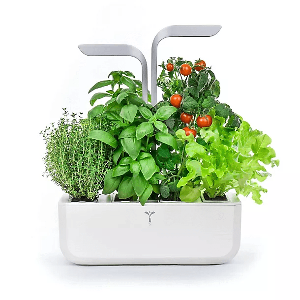 This Lakeland Indoor Garden grows herbs by itself with minimum effort