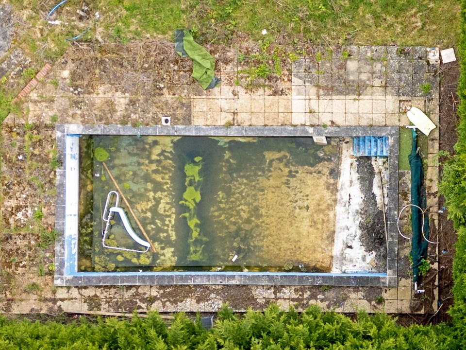 The abandoned swimming pool looks like a swamp