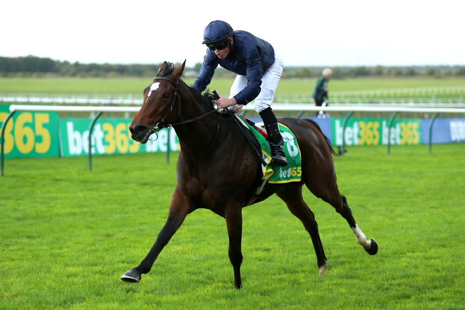 Aidan O'Brien will rely mostly on Ylang Ylang to land him another Oaks at Epsom