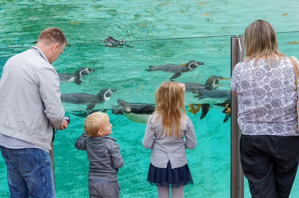 Zoos are still open during bank holidays with many families heading to the popular attractions