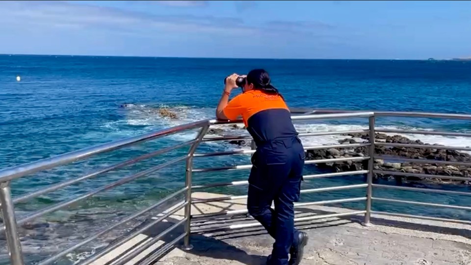 Lifeguards searching for the shark on Gran Canaria’s east coast