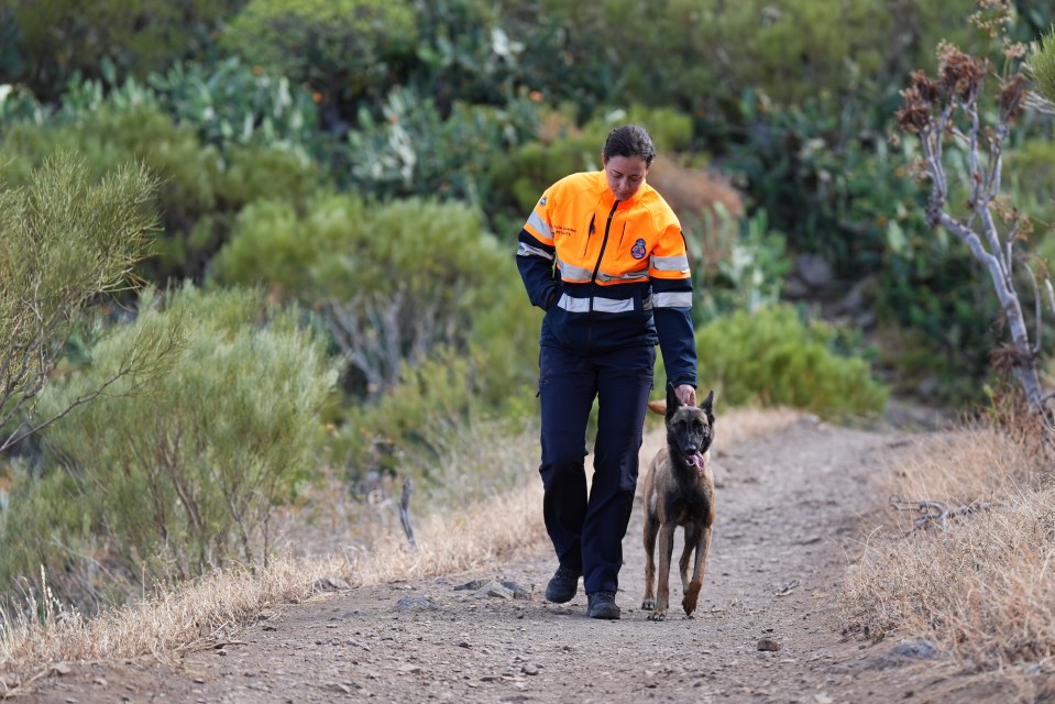 a woman in an orange and blue jacket walking a dog