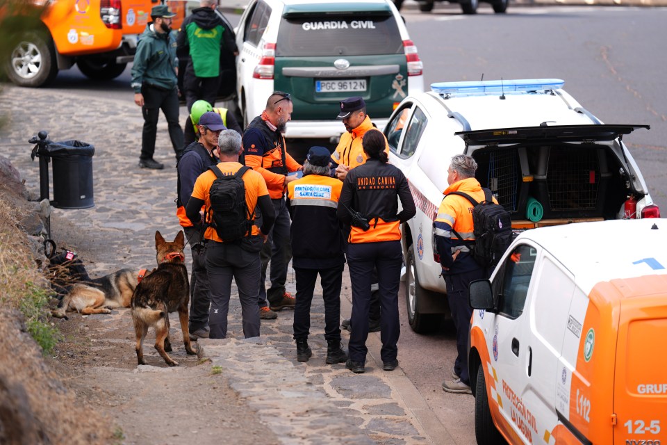 Cops, firefighters, volunteers and sniffer dogs are out looking for Jay