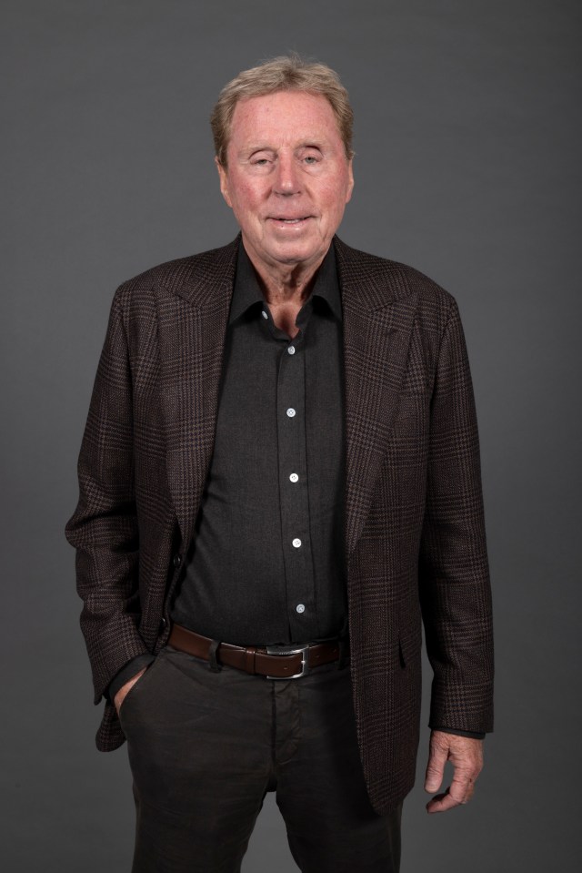 Harry Redknapp is one of SunSport's expert Euro 2024 pundits