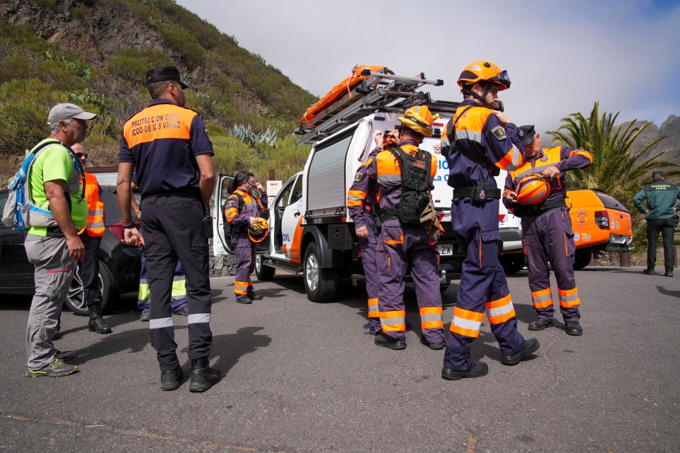 Drones, sniffer dogs and helicopters are also part of the search operation