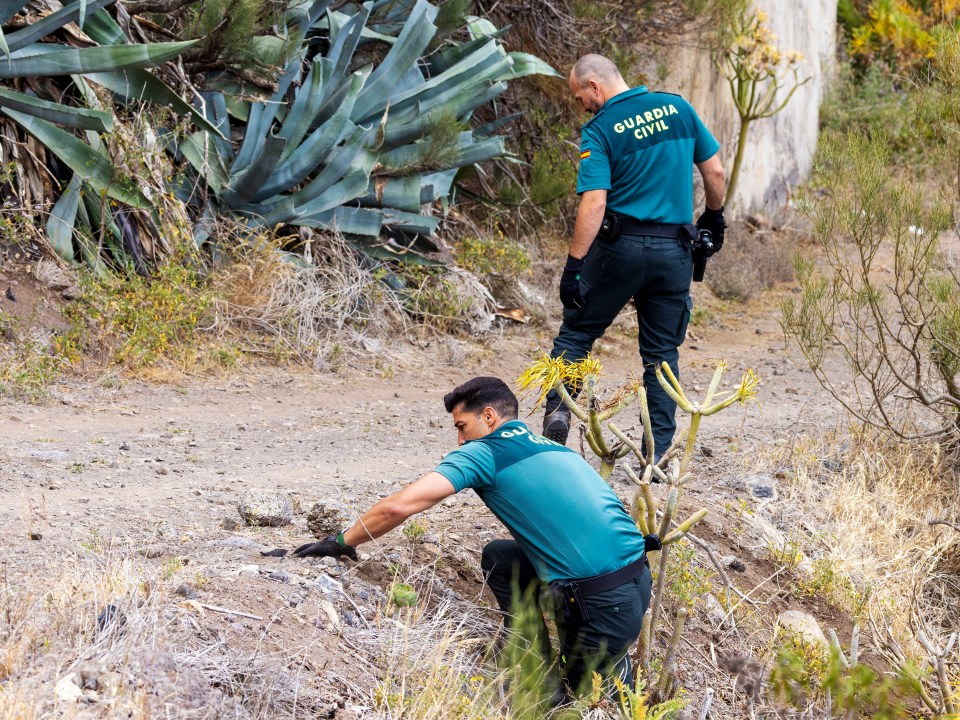 Cops have been searching the mountainous terrain on foot