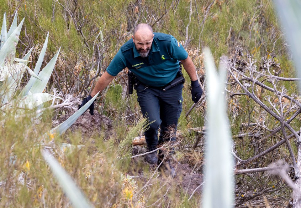 Search crews are scouring the area for clues