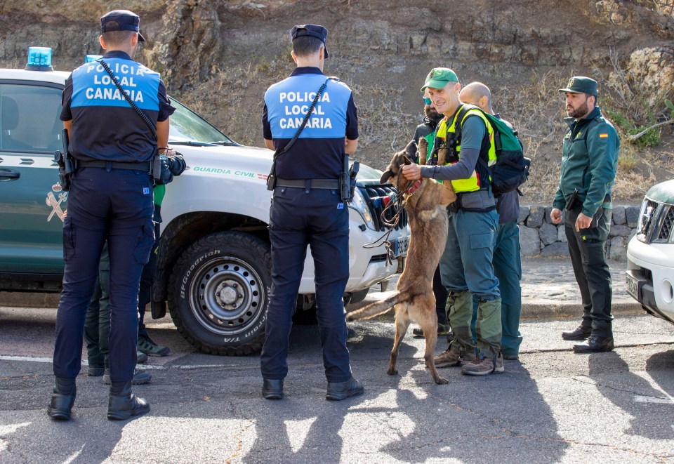 Specialist sniffer dogs were also deployed in the search