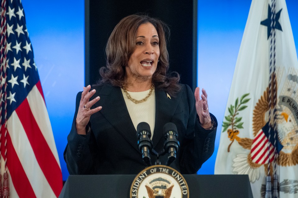 Kamala Harris polls worse against Trump than Biden