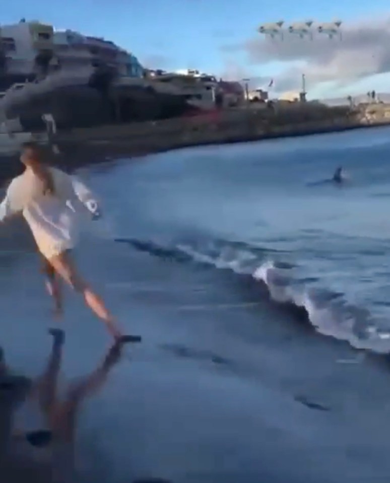 Footage showed youngsters running for safety as the shark swam towards the beach