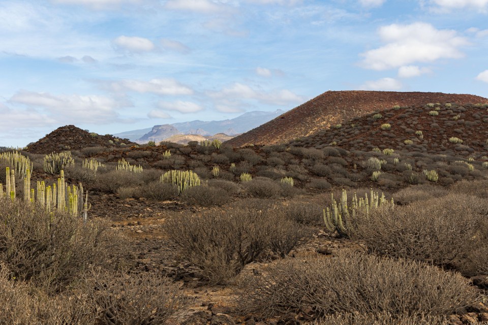 a desert landscape with mountains in the background