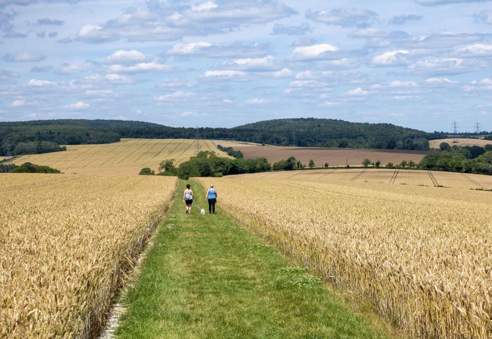 Hangers Way is a popular walking route in Selborne - 21 miles long in distance