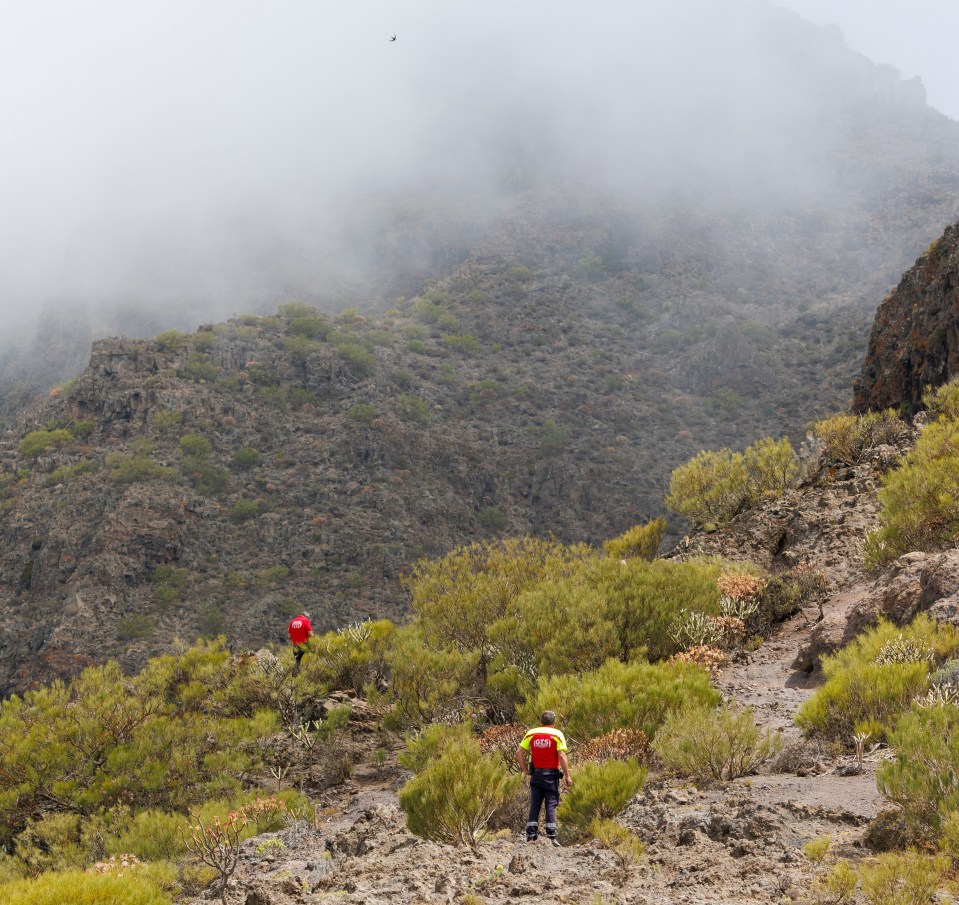 a man in a red shirt is walking down a trail