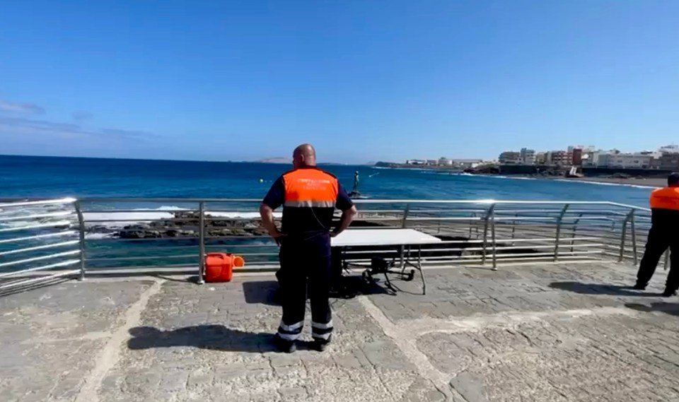 Three beaches have been shut over the weekend after shark sightings