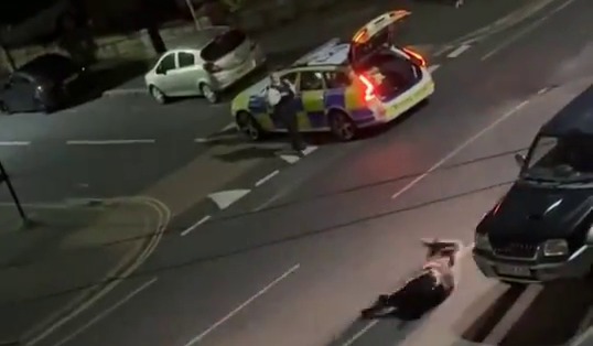 A police car ran over a cow in Staines-upon-Thames