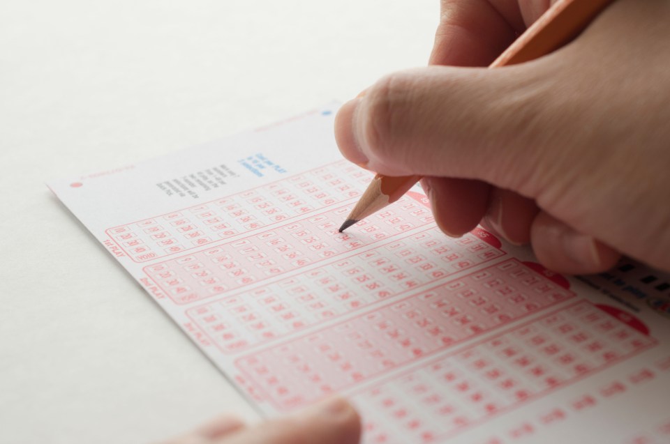 E1HDCA Person marking number on lottery ticket with pen