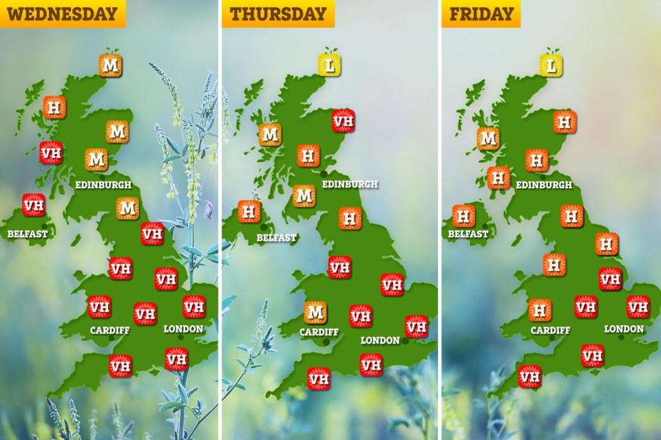 Pollen spread will remain at similar levels across the week