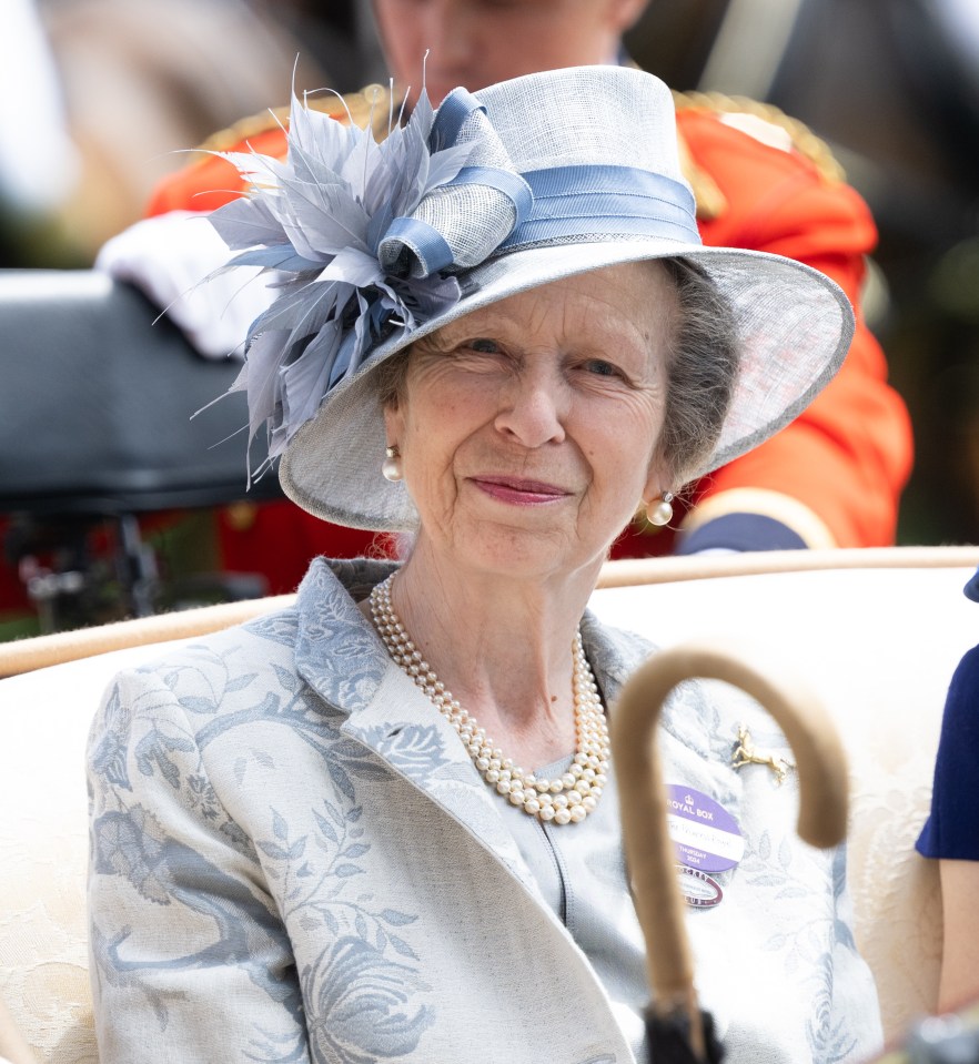 Princess Anne has returned home following a stay in hospital for a minor head injury and concussion