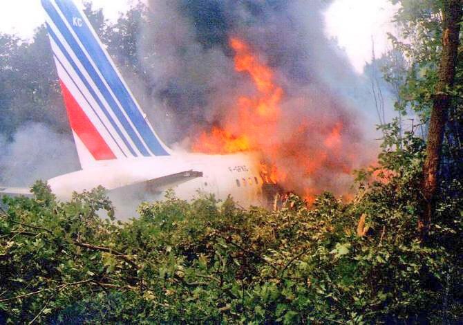 The plane burst into flames after crashing into dozens of trees