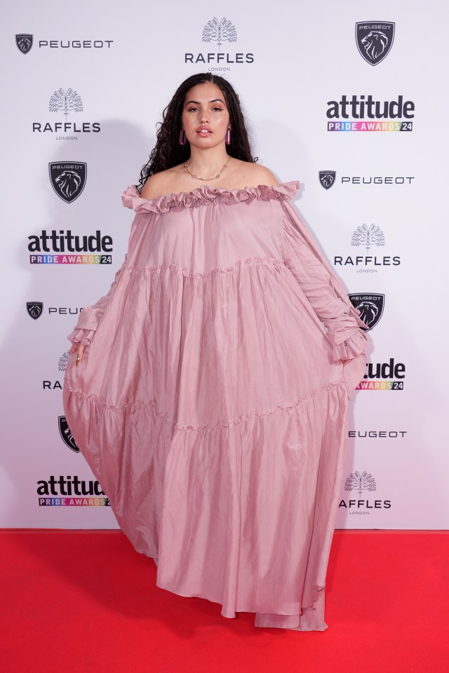 Mabel stunned in this pink dress as she won two first-class British Airways flights in the charity raffle at the Attitude Pride Awards