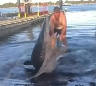 The horrifying moment the shark swung its body around and flashed his teeth at Tristan