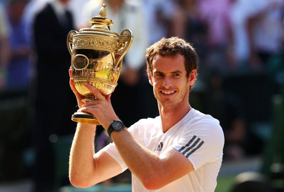 Murray had hoped for a farewell at Wimbledon ahead of his retirement later this year