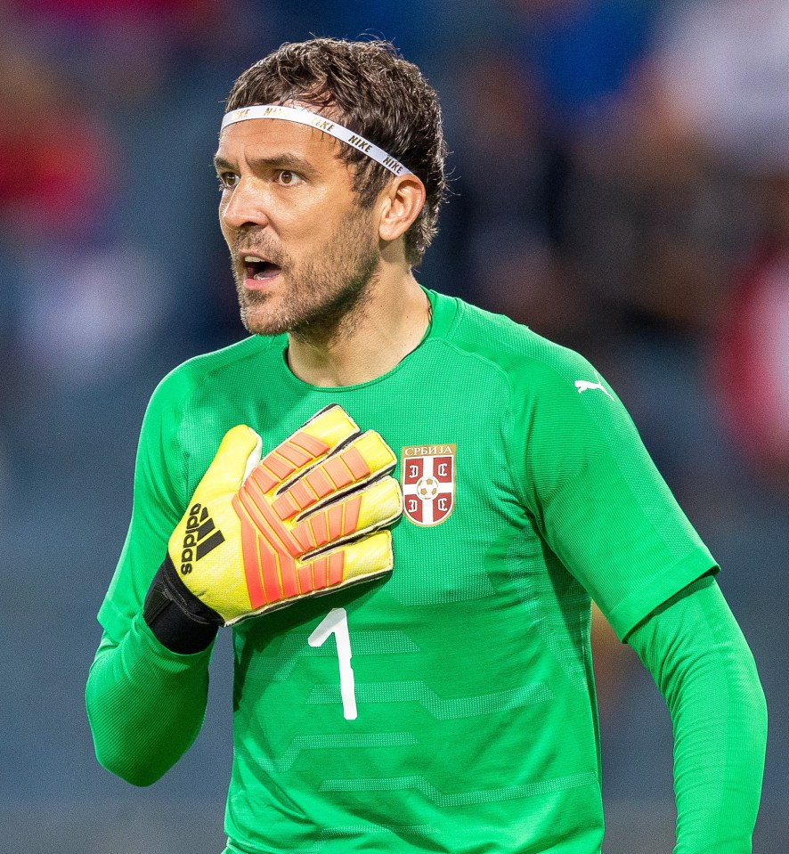 Serbia's goalkeeper Vladimir Stojkovic was so 'shaken' he refused to play in 2010 after being threatened by Bogdanov and other thugs