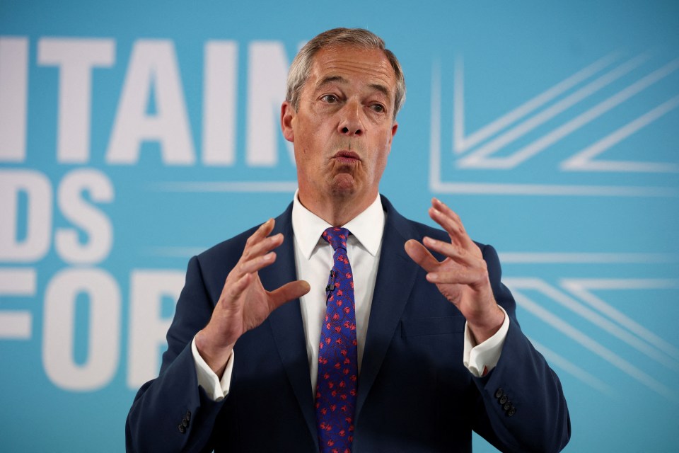 Farage pledged he would drive migration down to 'net zero' for 'a few years'