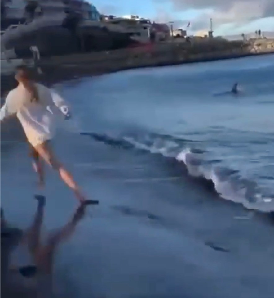 Terrified tourists were seen fleeing from the beach