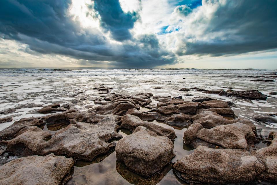 Unlike other beaches in the UK, Cwm Nash is dog-friendly all year round