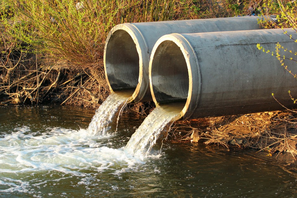 Sewage is pumped into our rivers