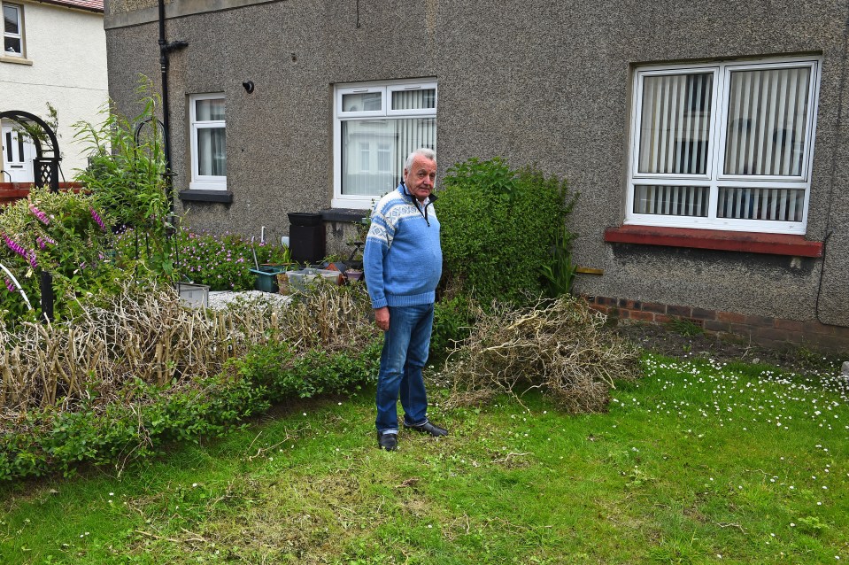 Cllr Scott claims the hedge is council property and says he has done nothing wrong